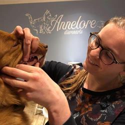 Dierenarts Annelore Vanroose