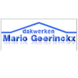 Geerinckx M