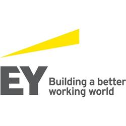 EY Tax Consultants