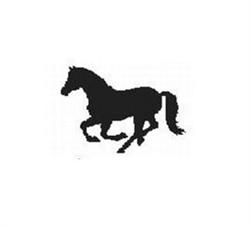 Epona Nv