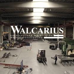 Walcarius Albert