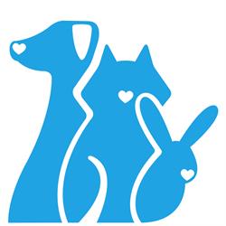 Dierenarts Kimberly De Vlieger