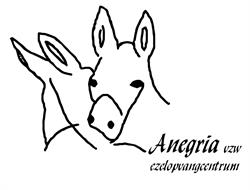 Anegria vzw