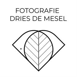 Fotografie Dries De Mesel