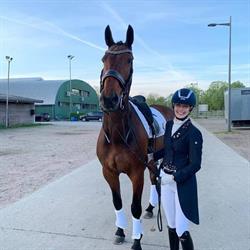 Eunice Stables Bvba