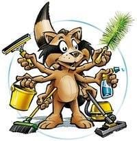 Domestic Services Beringen, Huishoudhulp met Dienstencheques