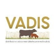 Aveve Vadis