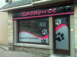 Sacapuce