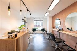 Hairsalon Pro Style