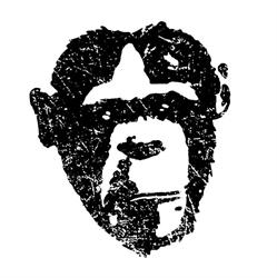 Monkeys at Midnight