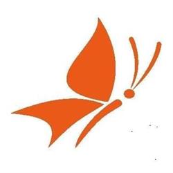 Butterfly Concept