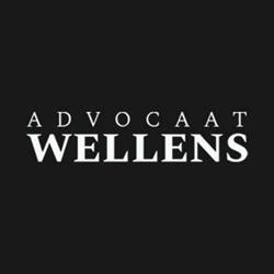 Advocaat Leen Wellens