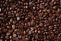 Het koffieboontje