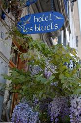 Bluets (Les)