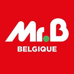 Mr Bricolage