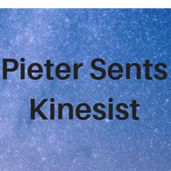 Kinesist Pieter Sents