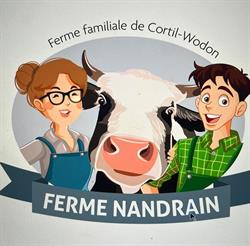 Nandrain