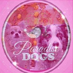 Paradise dogs