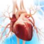 Verbieren-Missotten-kine - Cardio-Medigym