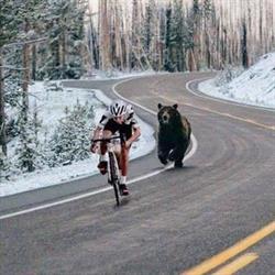 PCP-Bikes