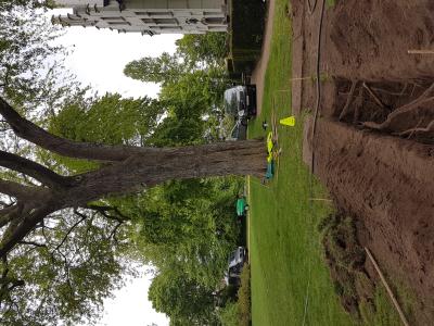 Tree-Manager