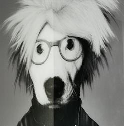 Elegance Canine