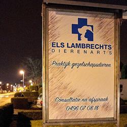 Els Lambrechts Dierenarts