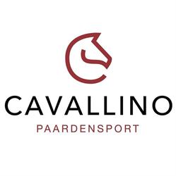 Paardensport Cavallino