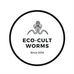 Eco-Cult Worms (Wormenkwekerij en wormencompost)