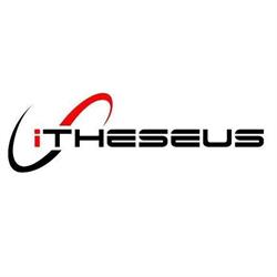 iTheseus Consulting