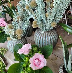 Belle Rose Bloemen & Decoratie