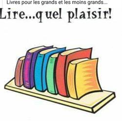 Librairie Rimes et Bulles