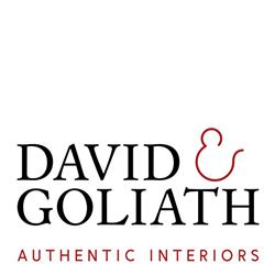David en Goliath - Gent