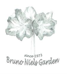 Niels Bruno