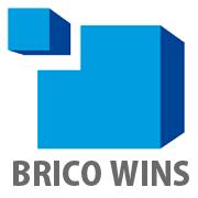 BRICO WINS