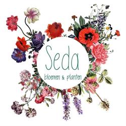 Seda’s