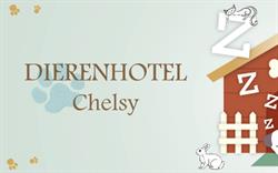 Dierenhotel Chelsy