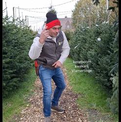 Plantenshop Buxushoeve