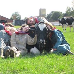 Koeknuffelen