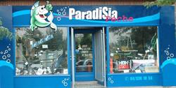 Paradisia Pêche
