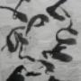 image 14_Francoise gresse