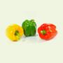 Bell Pepper