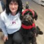 Bandit et Gina - Comportementaliste et éducatrice canin chez Doggy Care