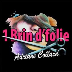 Salon de coiffure 1 Brin d'folie