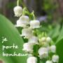 image_un nouveau choix pour soi