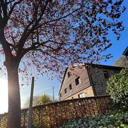 Gîte Dumoulin