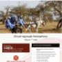 image 3_Carine by travel