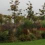 image4_ecoarchi
