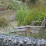 image1_ecoarchi