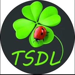 Les Titres-Services de Lixhe TSDL